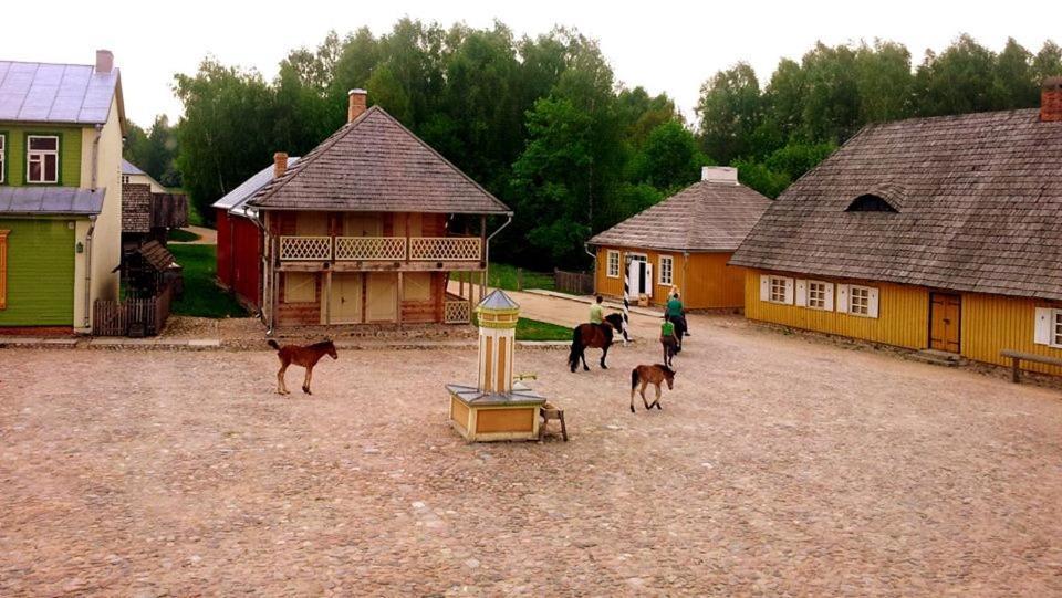 Stay At Lithuanian Folk Museum Rumsiskes Exterior foto